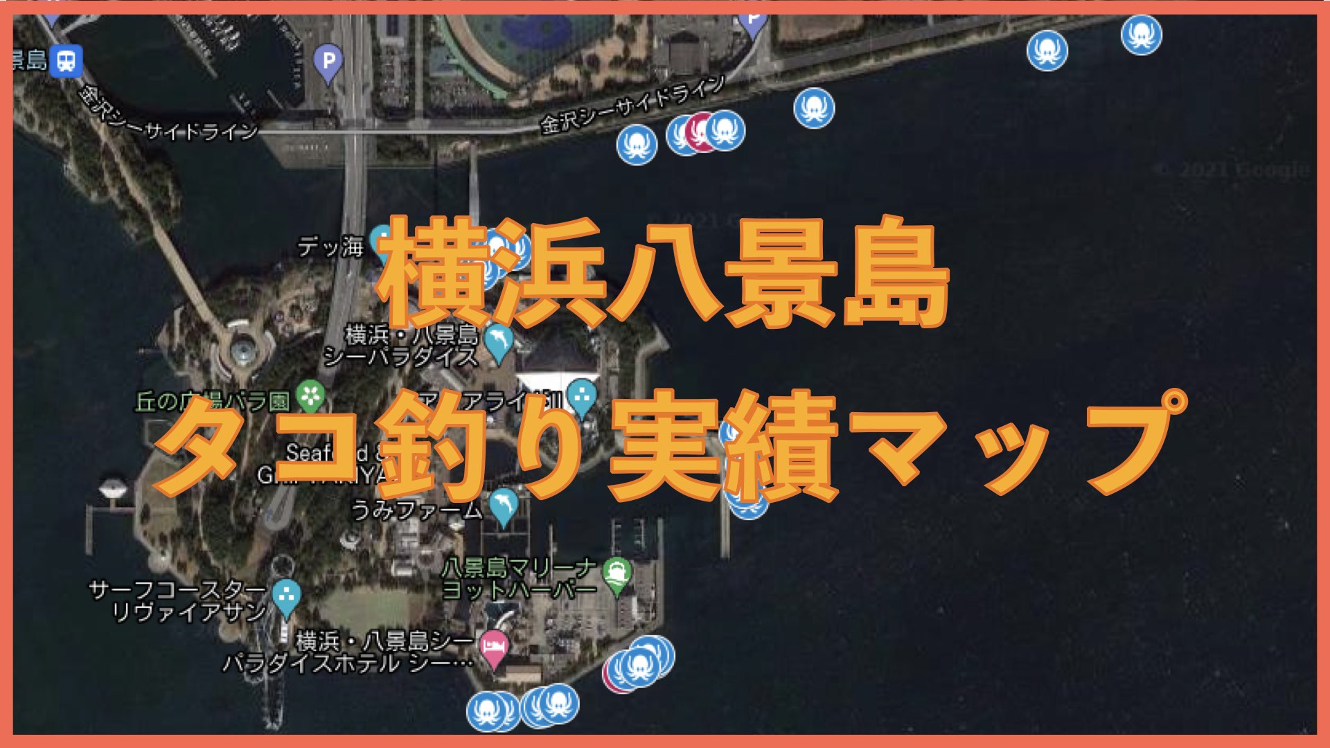 横浜八景島タコ釣り実績マップ
